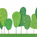 家里摆放这几种植物，立刻提高你家的逼格……