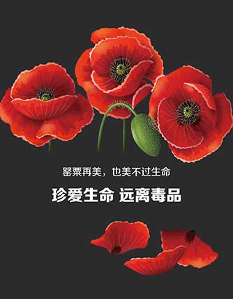 珍爱生命远离毒品