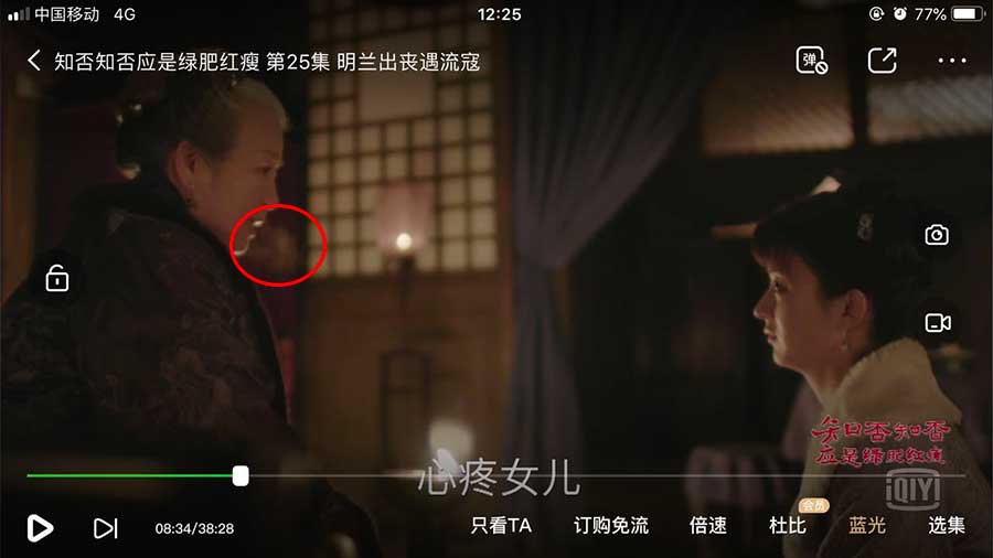 反季节拍摄