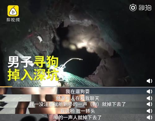 男子寻狗掉坑里，发现狗子也在坑里