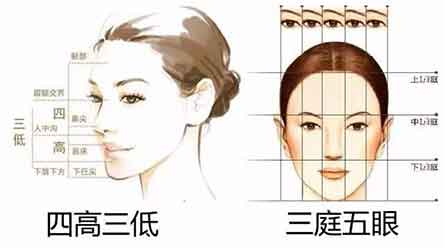 四高三低,三庭五眼