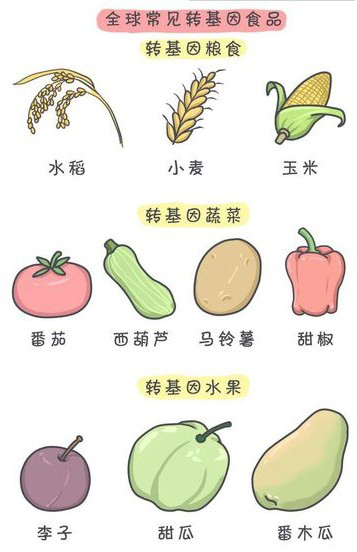 转基因食品