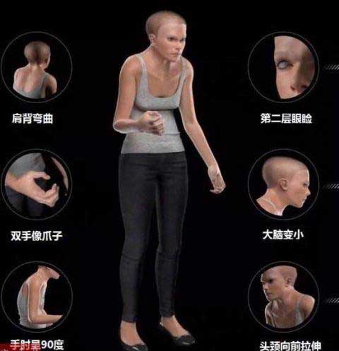 2100年人类
