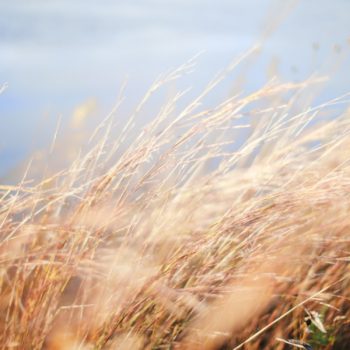做到这些,远离酷暑