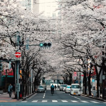 想学习日语么？带你入门