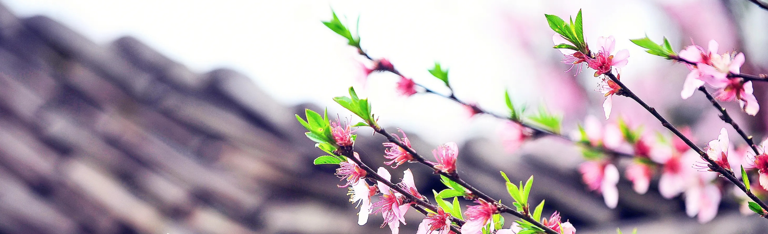 【二十四节气】春季这些节气，你都了解吗？