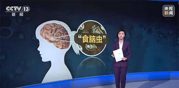 “食脑虫”究竟是什么“虫”？如何避免？